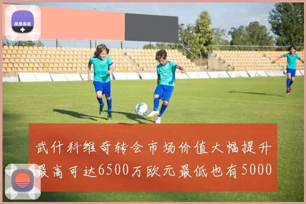 武什科维奇转会市场价值大幅提升最高可达6500万欧元最低也有5000万欧元