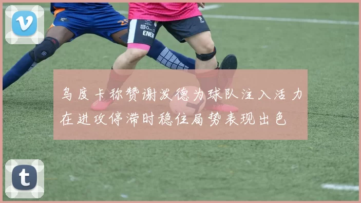 乌度卡称赞谢泼德为球队注入活力在进攻停滞时稳住局势表现出色